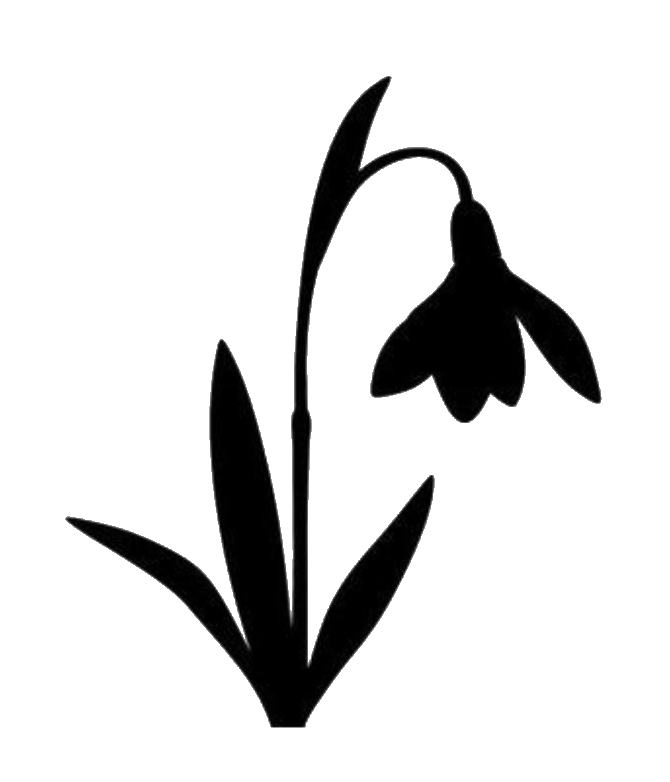 Snowdrop Logo